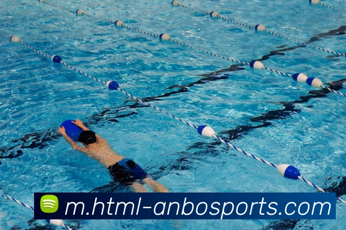 App Interface Preview